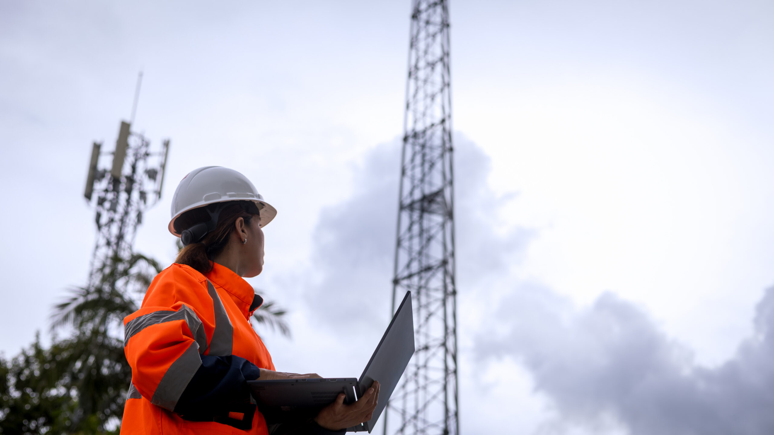 Gérer les réseaux de télécommunications avec Entuity 